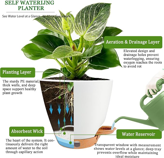 6" Self Watering Pots for Indoor Plants, Drainage Holes & Detachable Trays - Image 5
